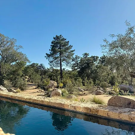 Authentic Villa In The Corsican Maquis Lecci